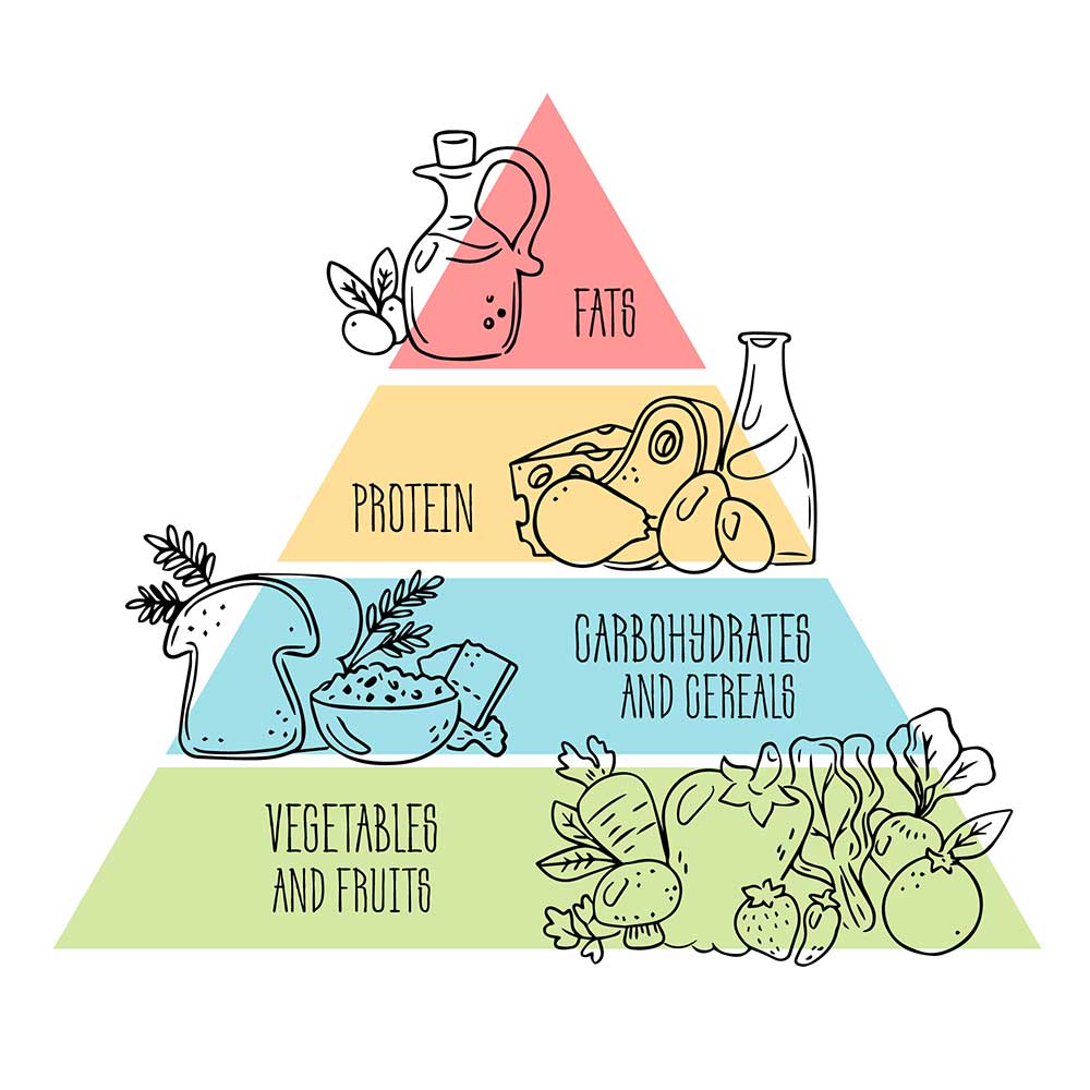 Пищевая пирамида рисунок